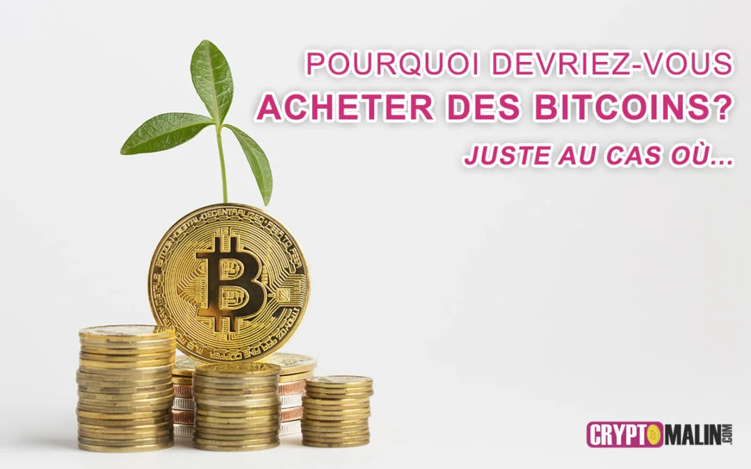 Pourquoi devriez-vous acheter des Bitcoins ? juste au cas où…
