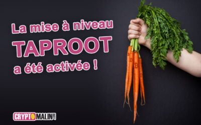 Tout savoir sur la mise à jour de Bitcoin : Taproot