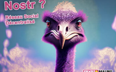 Qu’est-ce que Nostr ? Le réseau social décentralisé